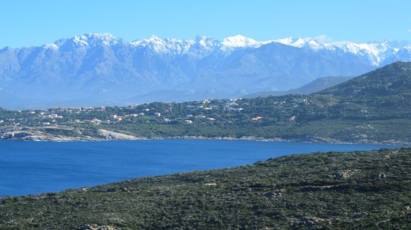 Déguster le Brocciu